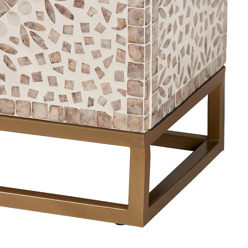 Ercilia Modern Bohemian White and Rustic Brown Mother of Pearl Storage Cabinet