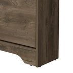 Wooden Shoe Storage Cabinet with 2 Flip Drawers and a Top Shelf