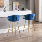 Set of 2 Bar Stools